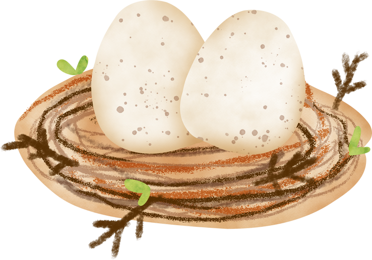Cute cartoon eggs in bird nest watercolor