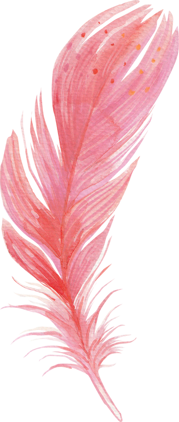 Watercolour Feather
